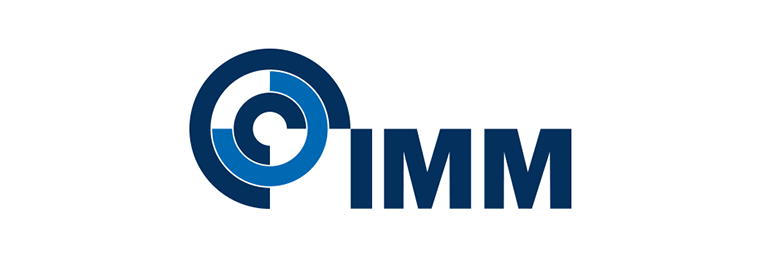 30 Jahre IMM Logo