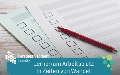 Fit für den Wandel: Wie Lausitzer Erwerbstätige am Arbeitsplatz lernen