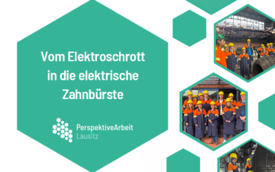 Vom Elektroschrott in die elektrische Zahnbürste